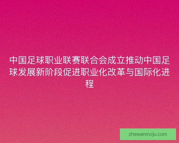 中国足球职业联赛联合会成立推动中国足球发展新阶段促进职业化改革与国际化进程